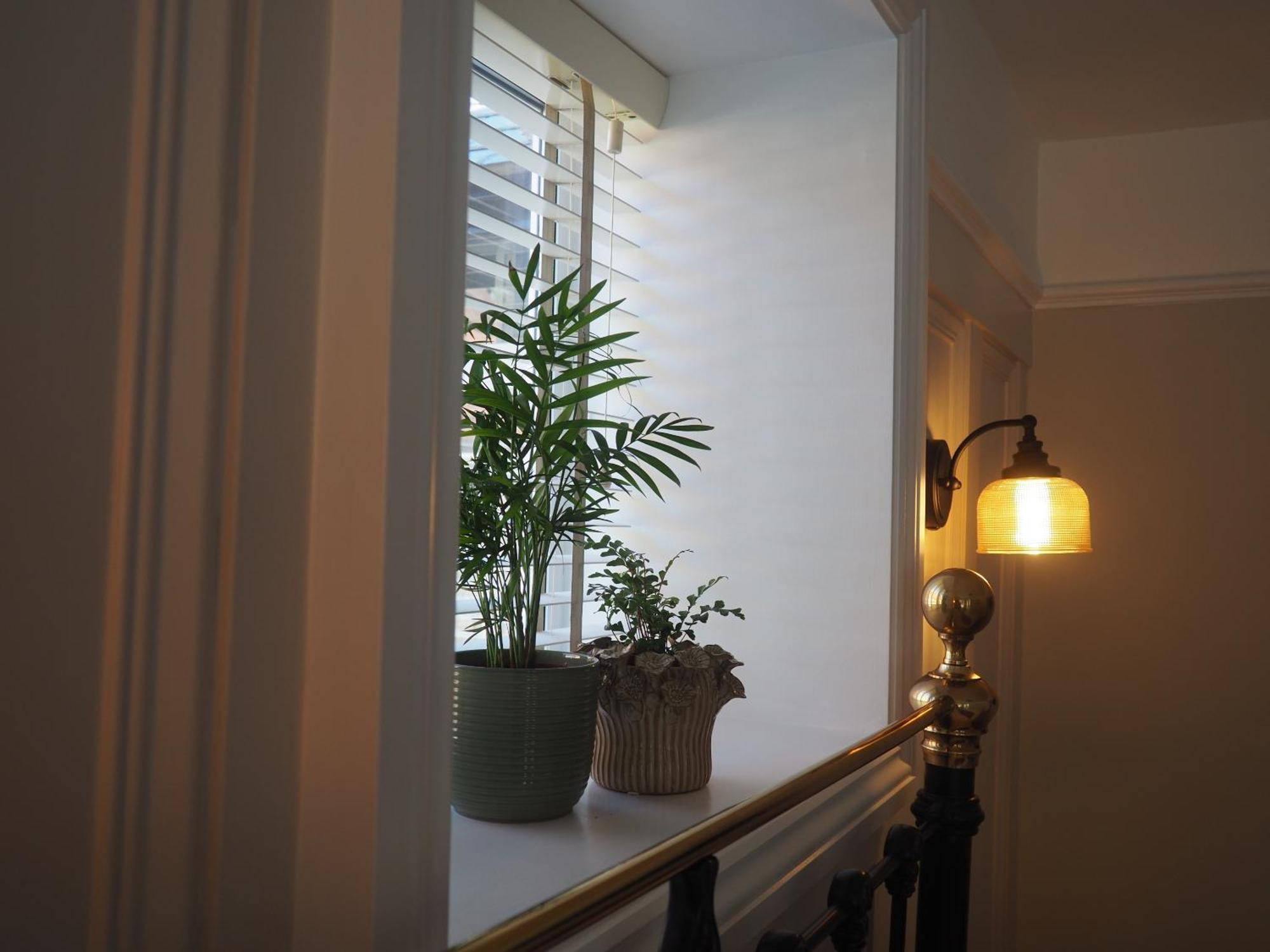 South View Guest House Lynton Luaran gambar